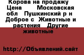 Корова на продажу › Цена ­ 1 - Московская обл., Пушкинский р-н, Доброе с. Животные и растения » Другие животные   
